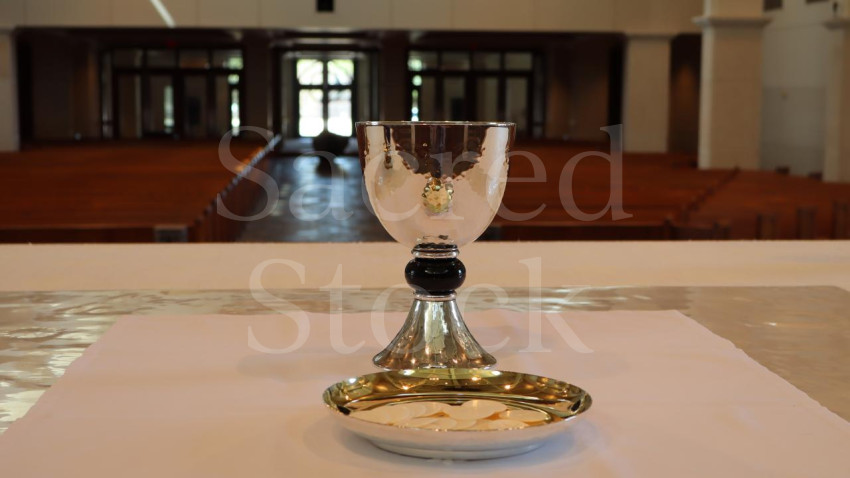 The Body and the Blood