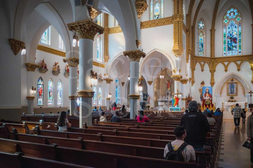 White and Gold Sanctuary 2