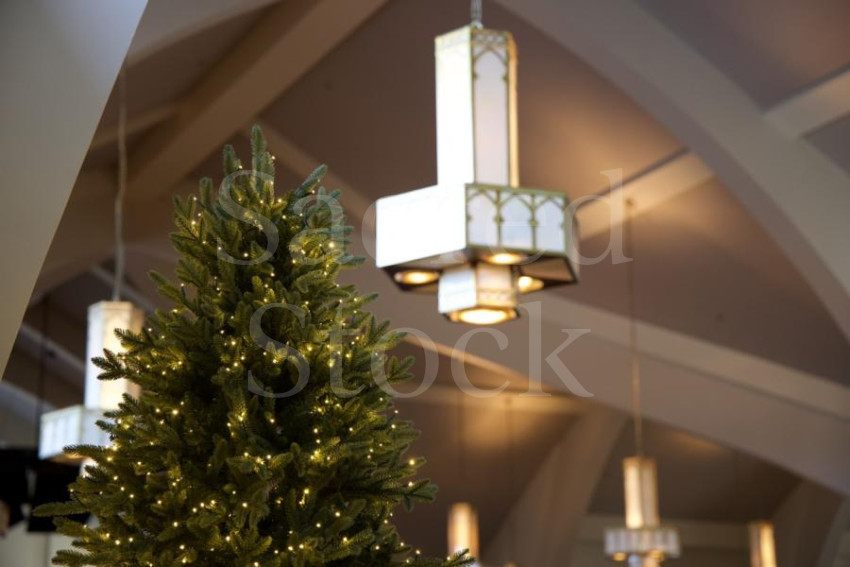 Christmas Tree and Chandelier 2